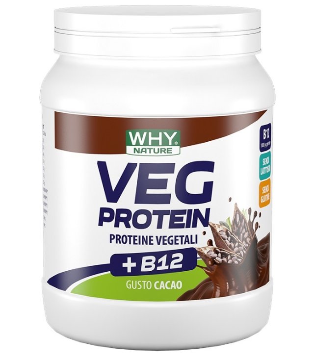 WHYNATURE VEG PROTEIN CAC 450G