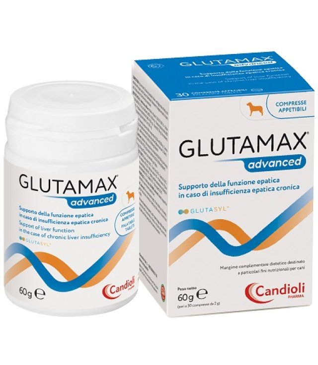 GLUTAMAX ADVANCED *       60GR    30 CPR