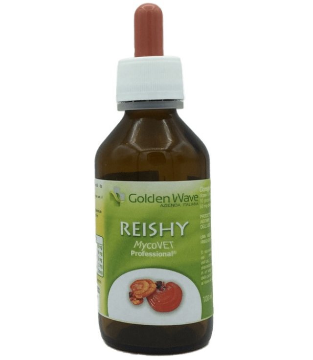 REISHY MYCOVET PROFESSIONAL REISHY MYCOVET PROFESSIONAL