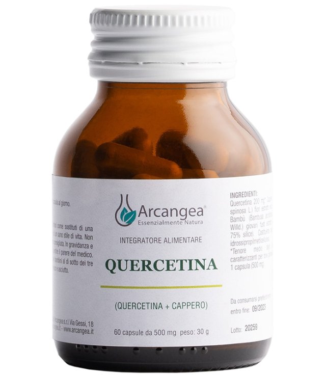 QUERCETINA 60CPS 500MG ARCA