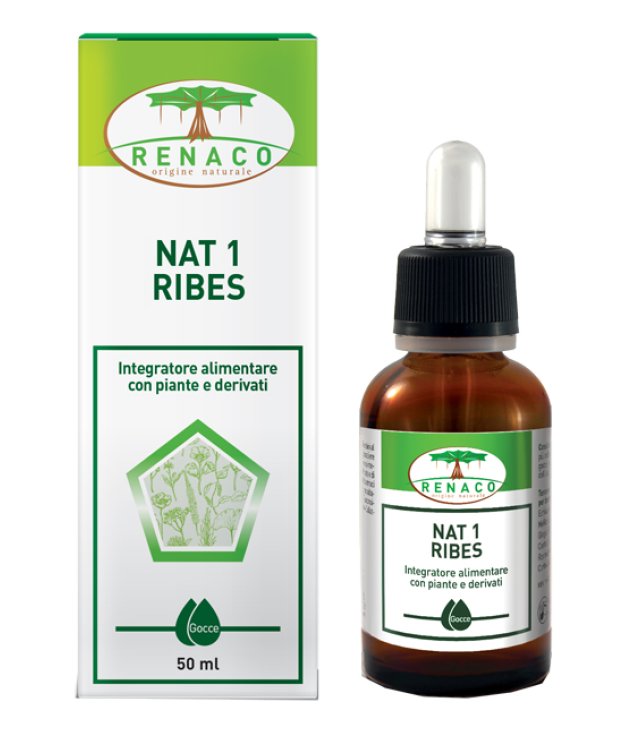 <NAT 1 RIBES RI GROUP     50ML       GTT