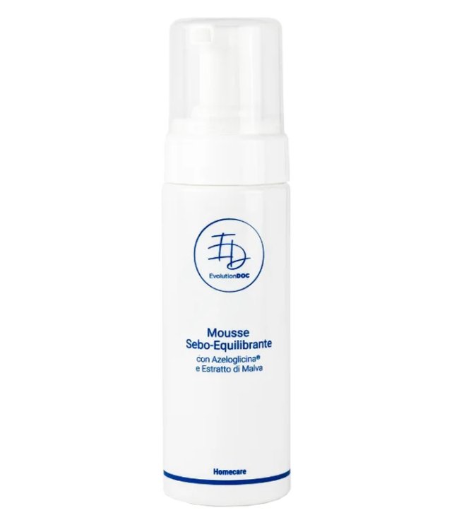 ED DETERG.MOUSSE EQUILIB.SEBO VI ED DETERG.MOUSSE EQUILIB.SEBO VI