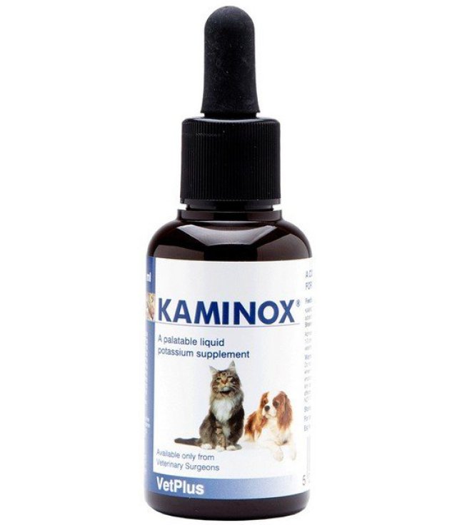 KAMINOX SCIROPPO 60 ML