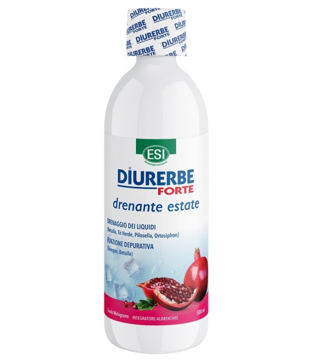 ESI DIURERBE FT DRE MELOG 500ML      FLA