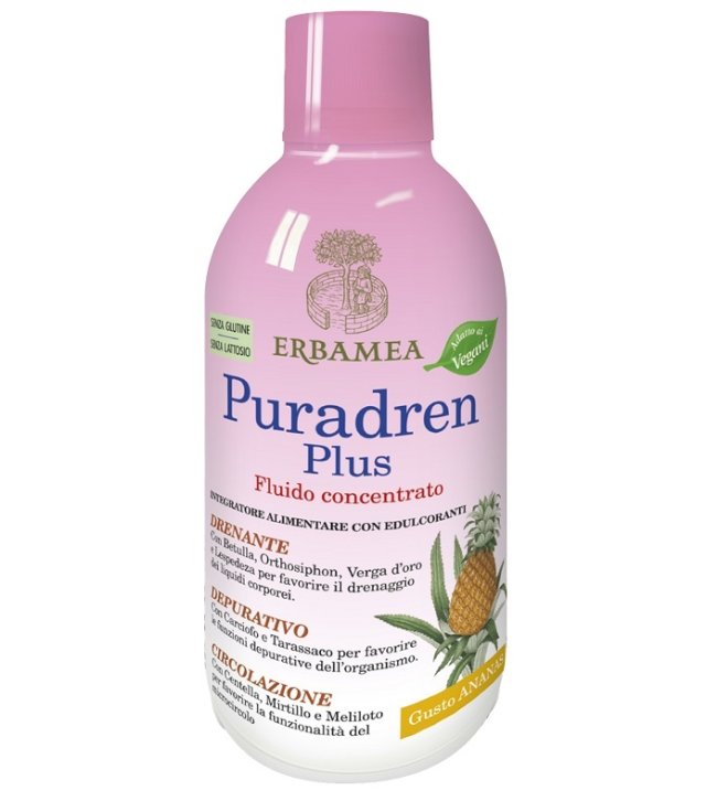 PURADREN PLUS ANANAS 500ML ERBAM PURADREN PLUS ANANAS 500ML ERBAM