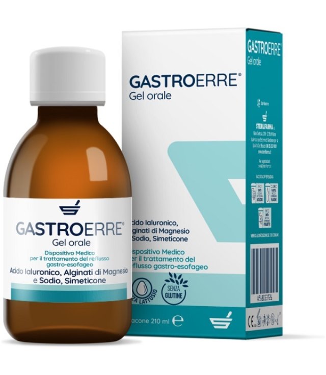 GASTROERRE                210ML