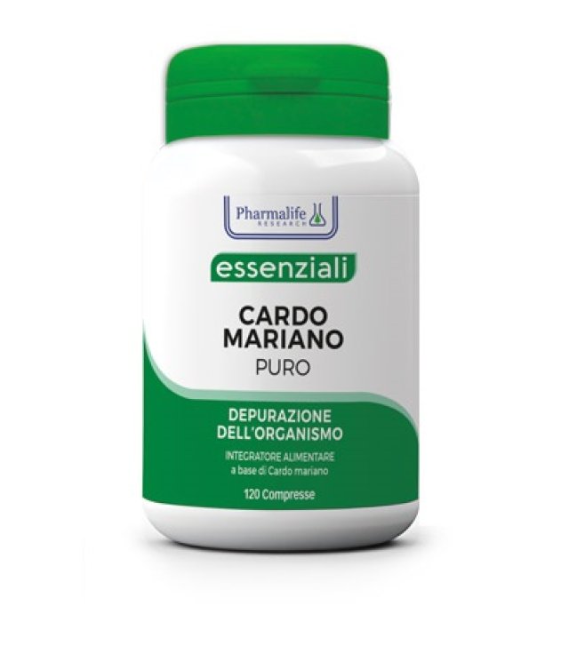 CARDO MARIANO PURO 120CPR
