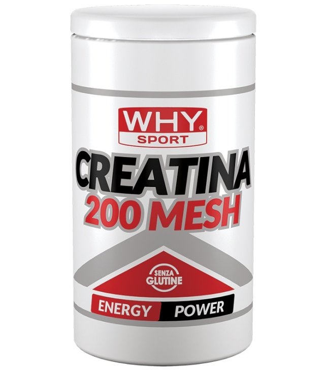 WHYSPORT CREATINA 200 MESH500G