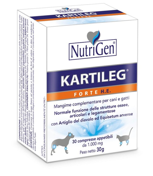 V KARTILEG FORTE HE 60CPR V KARTILEG FORTE HE 60CPR