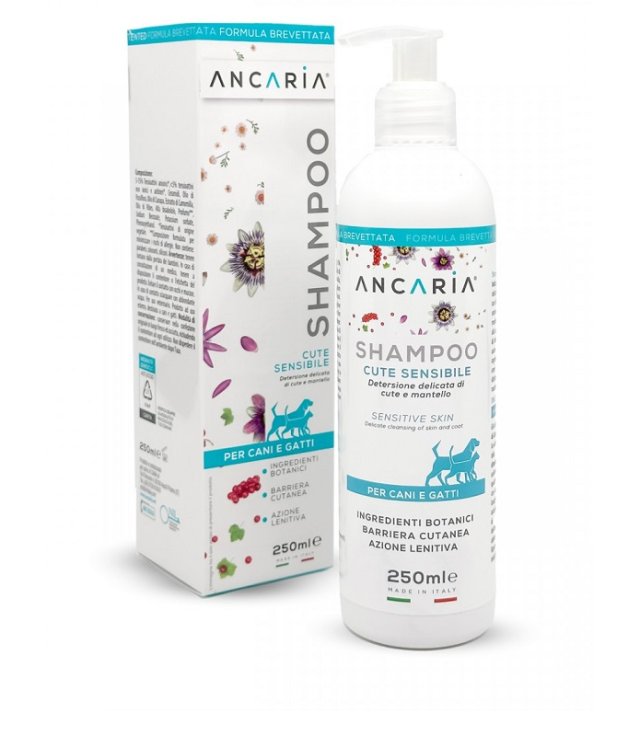 ANCARIA SHAMPOO           250ML      FLA