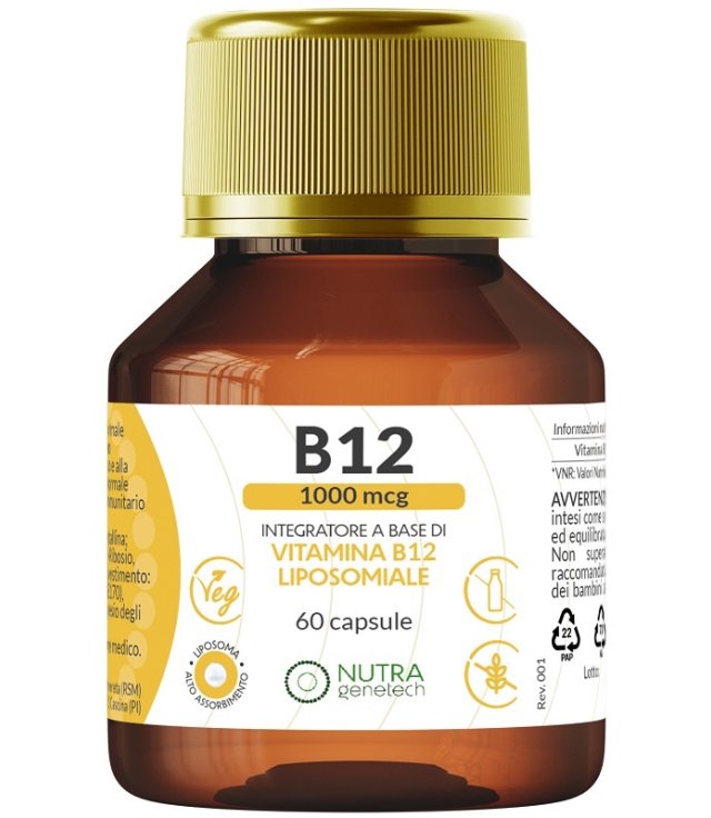 VITAMINA B12 1000MCG 60CPS VITAMINA B12 1000MCG 60CPS
