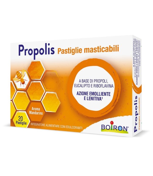 <PROPOLIS PAST MANDAR     20GR       PAS