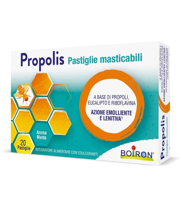 <PROPOLIS PAST MENTA      20GR       PAS