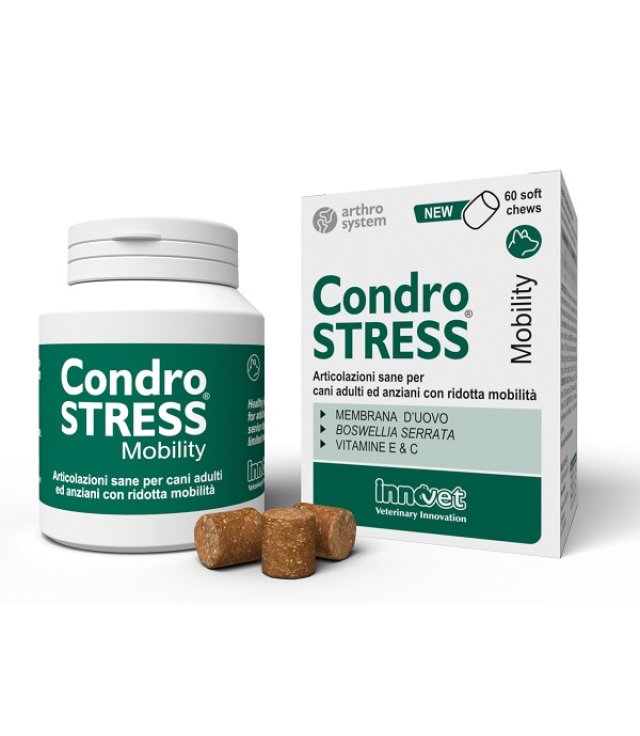 V CONDROSTRESS MOBILITY 60 SOFT