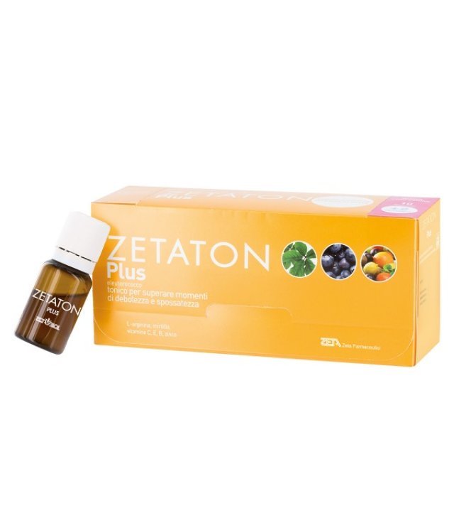 <ZETATON PLUS *           10ML    12 FLA