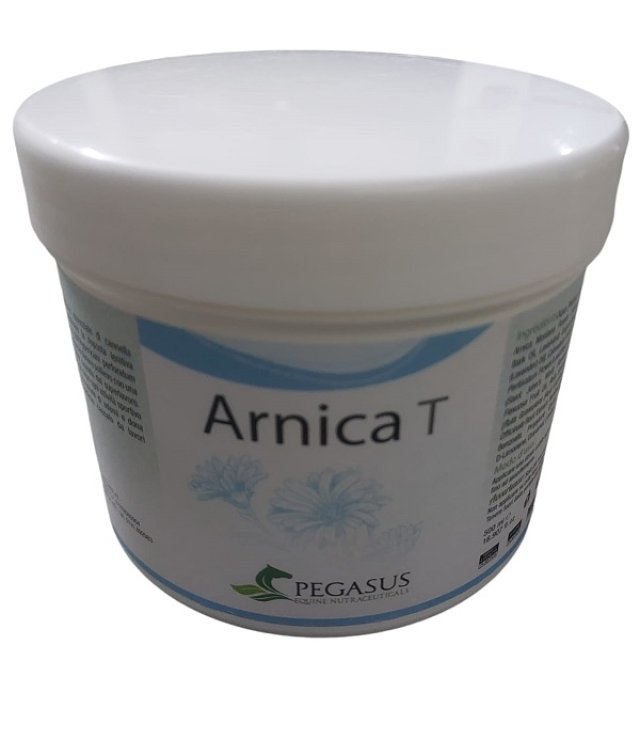 V PEGASUS EN ARNICA T 500GR V PEGASUS EN ARNICA T 500GR