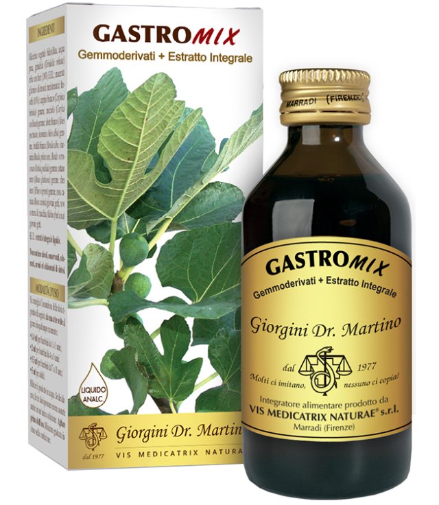 GASTROMIX LIQUIDO ANALC 200ML
