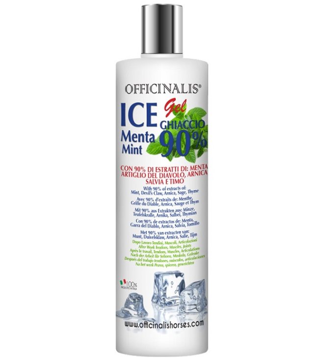 ICE OFFICINALIS GEL 90% 250 M