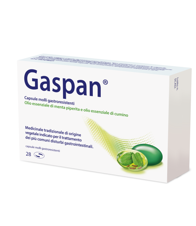 GASPAN*28 cps molli gastrores 90 mg + 50 mg